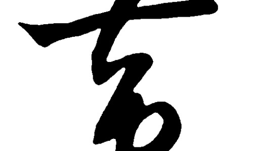 霉菌是什、霉菌是什么引起的都有什么症状 -霉菌是怎么样的症状网