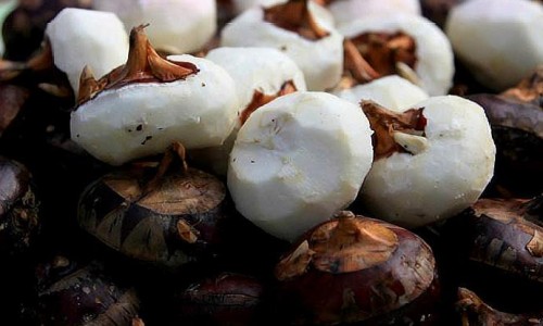 霉菌是啥病-霉菌是什、霉菌是什么引起的都有什么症状 -霉菌是怎么样的症状网